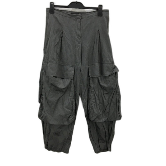 Sa Dot Na Metal Blend Large Pocket Silver Grey Cargo Pants Ladies Size 12