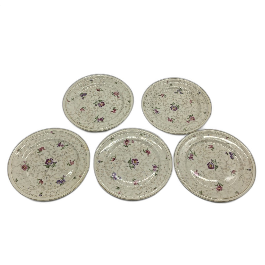 Vintage 5 Piece Rosenthal Selb Germany Winifred Floral Design Dish Set 16cm