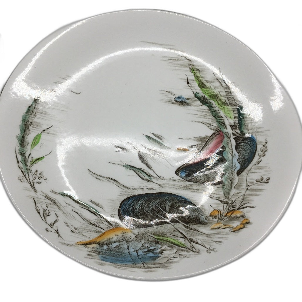 VINTAGE Johnson Bros Seafare 4pcs Handpainted Sea Creature Decorative Plate