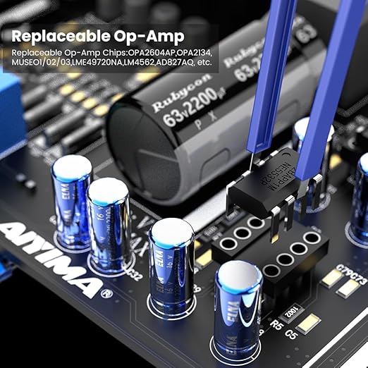Aiyama A07 MAX 2 Channel 48V Mono Stereo HiFi Mini Audio Amplifier NEW