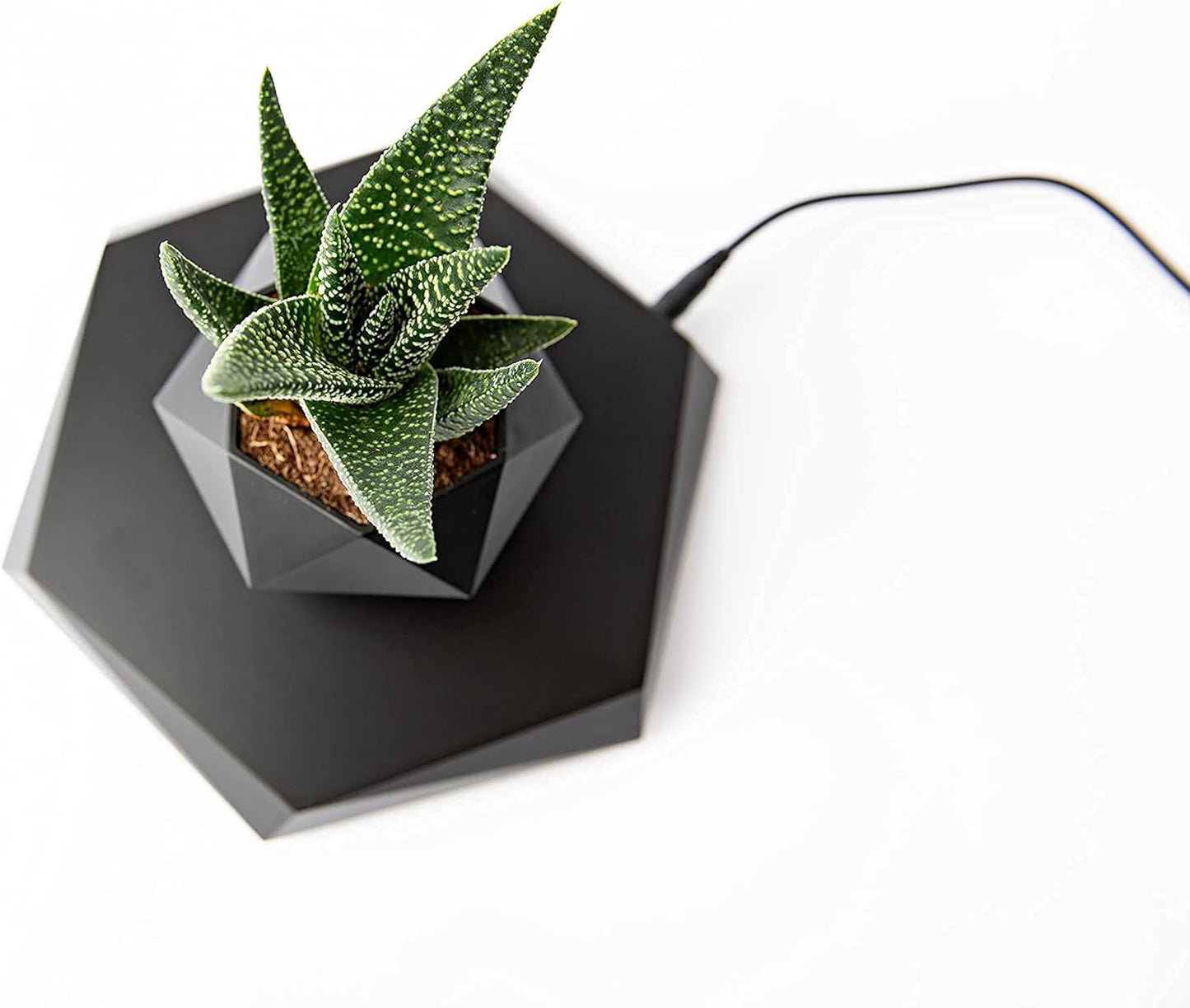 Floating Bonsai Geometric Black Planter Pot Magnetic Levitation Display NEW