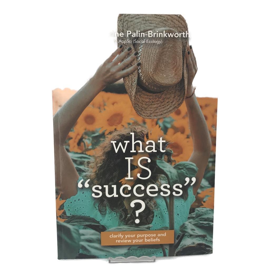 What is "Success"? by Catherine Palin -Brinkworth Paperback NEW