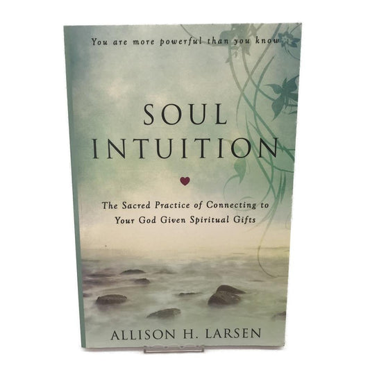 Soul Intuition The Sacred Practice of Connecting to Your God Given Spiritual Gifts by Allison H.Larsen Paperback NEW