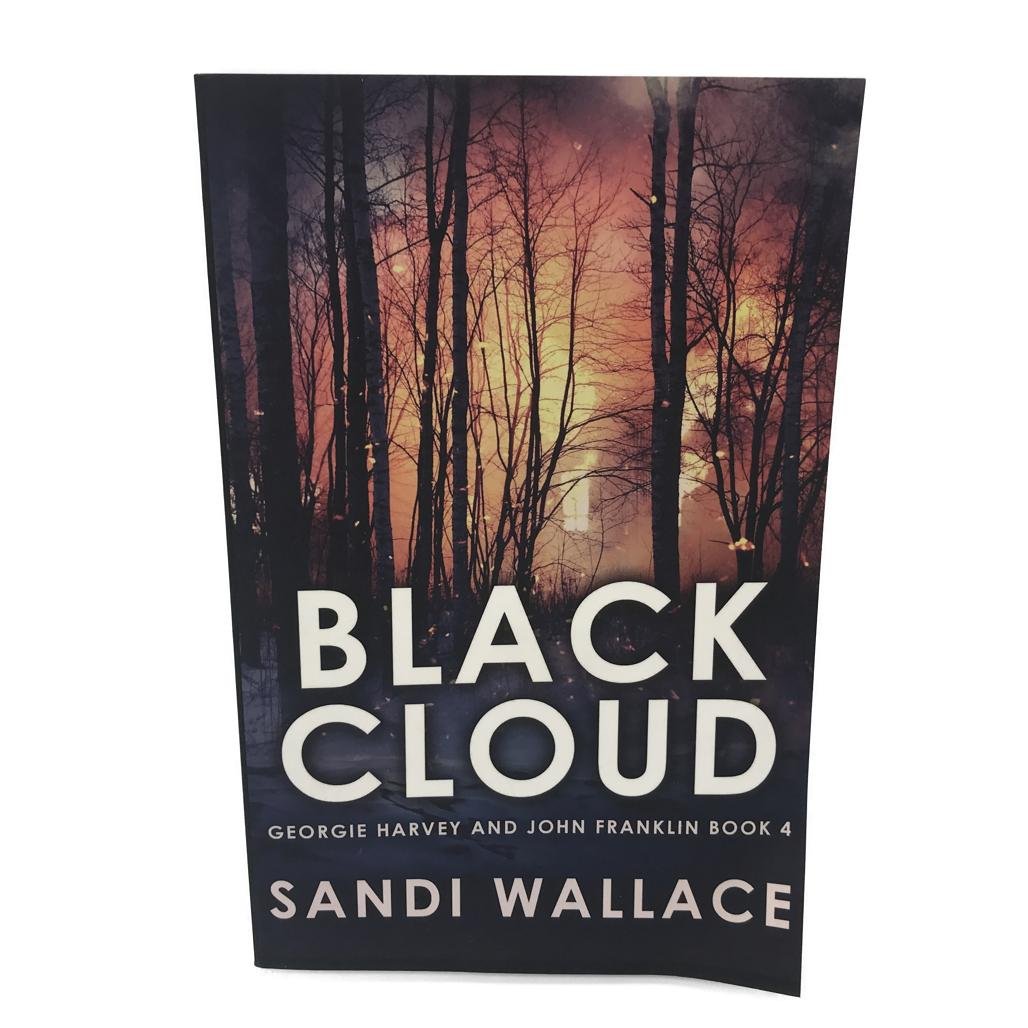 Black Cloud Sandi Wallace by George Harvey and John Franklin Book 4 Paperback NEW