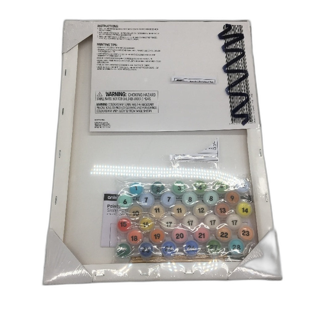 3 Pack Paint By Numbers Sicily, Mediterranean & Bold Floral Canvas Bundle NEW