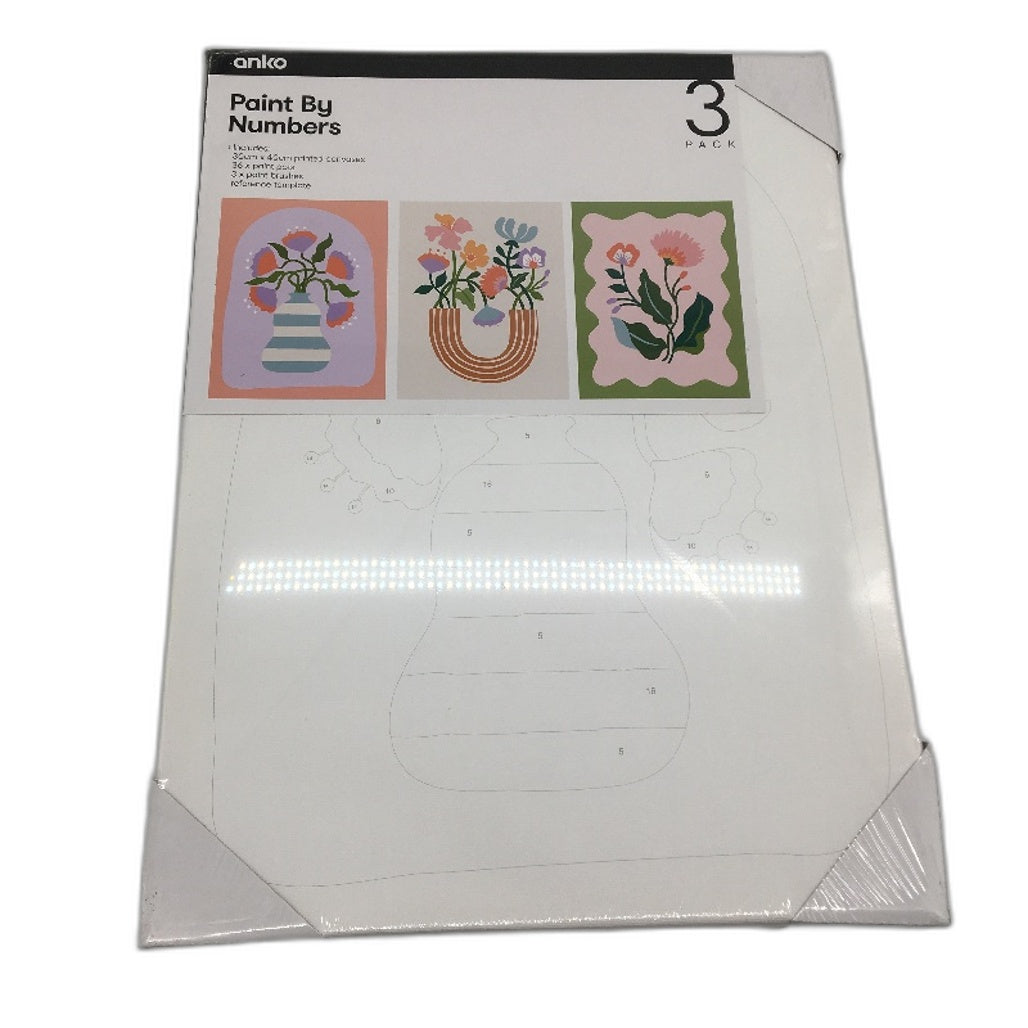 3 Pack Paint By Numbers Sicily, Mediterranean & Bold Floral Canvas Bundle NEW