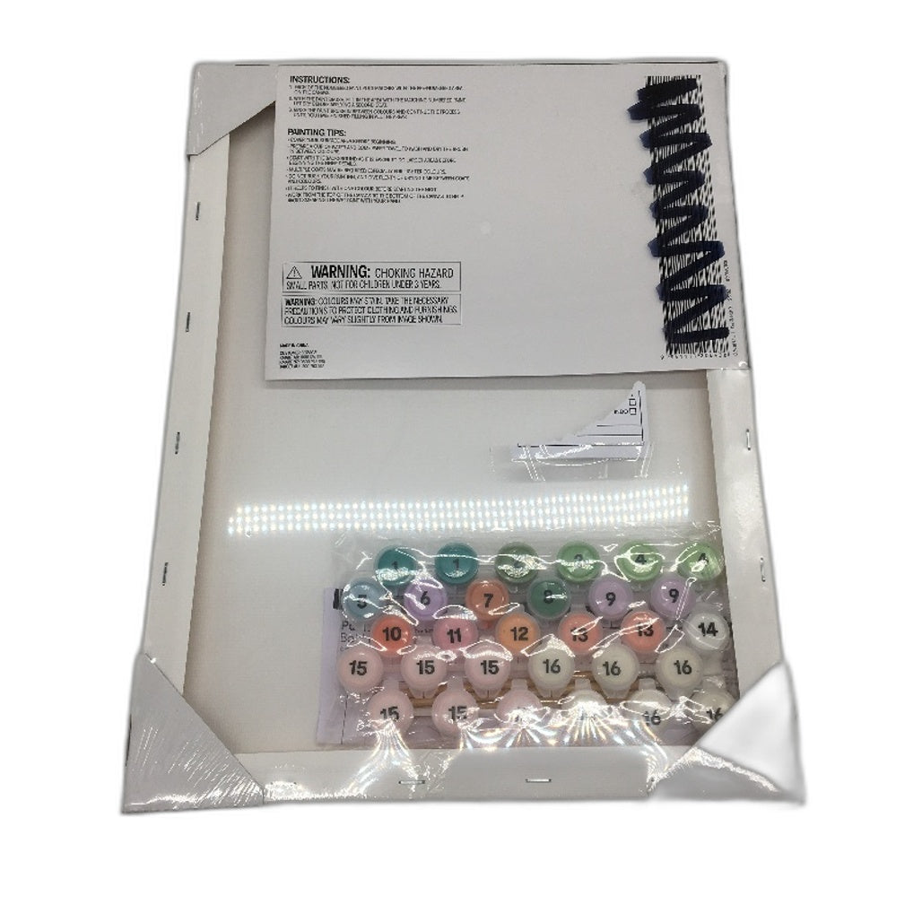 3 Pack Paint By Numbers Sicily, Mediterranean & Bold Floral Canvas Bundle NEW