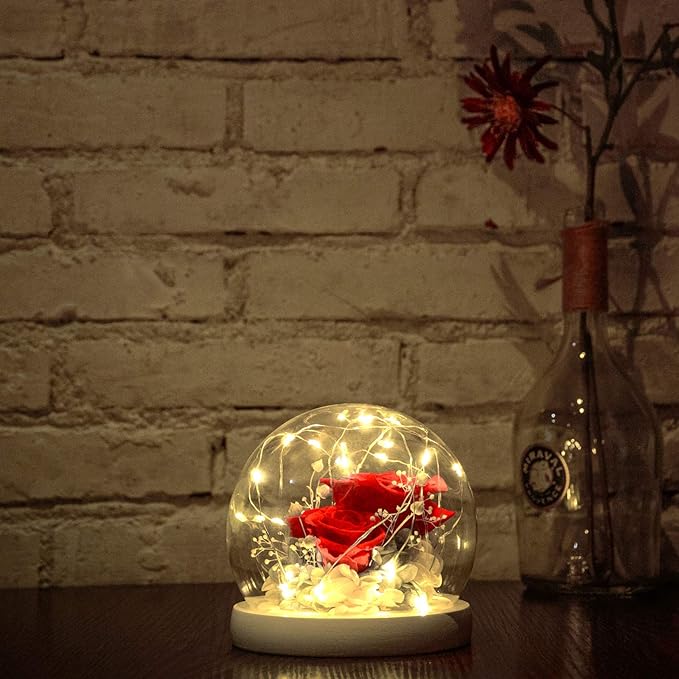 Kylin Glory Forever Flower Real Eternal Preserved Rose With LED Lights Gift NEW