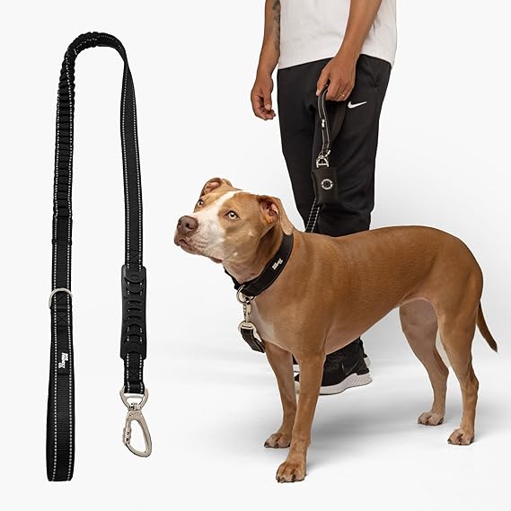 Dog Friendly Co Bungee Dog Leash Strain Free Shock Resistant D Ring Regular Size