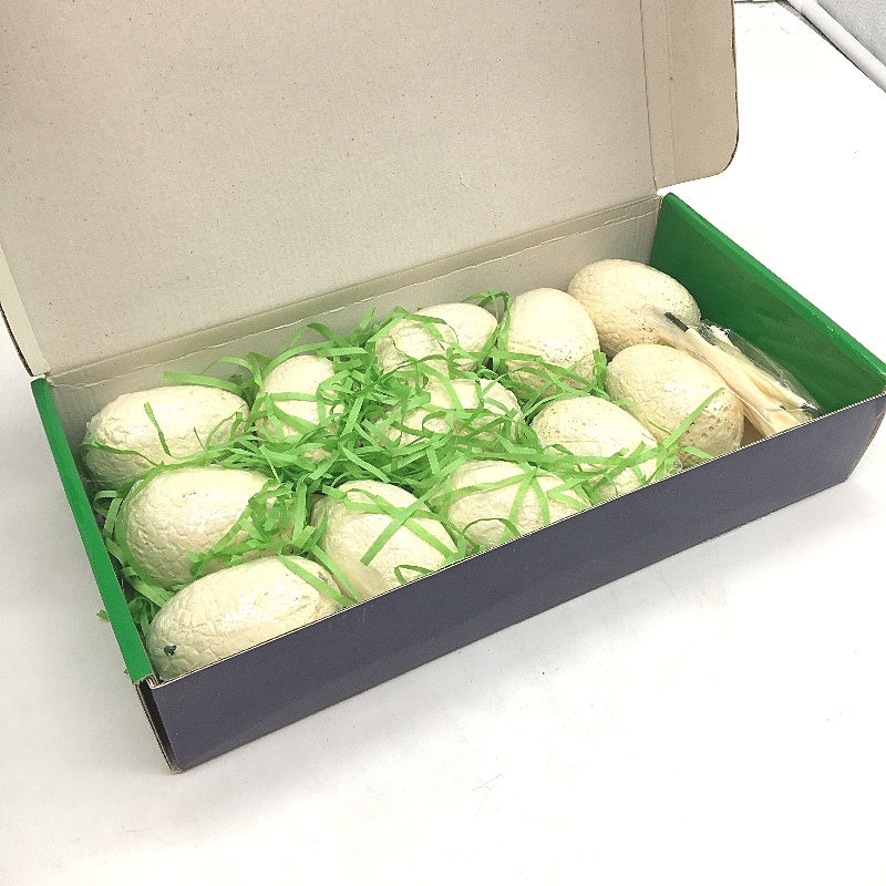 Dino Egg Dig Kit 12 Pack Kids STEM Dinosaur Excavation Party Toys Age 3+ NEW