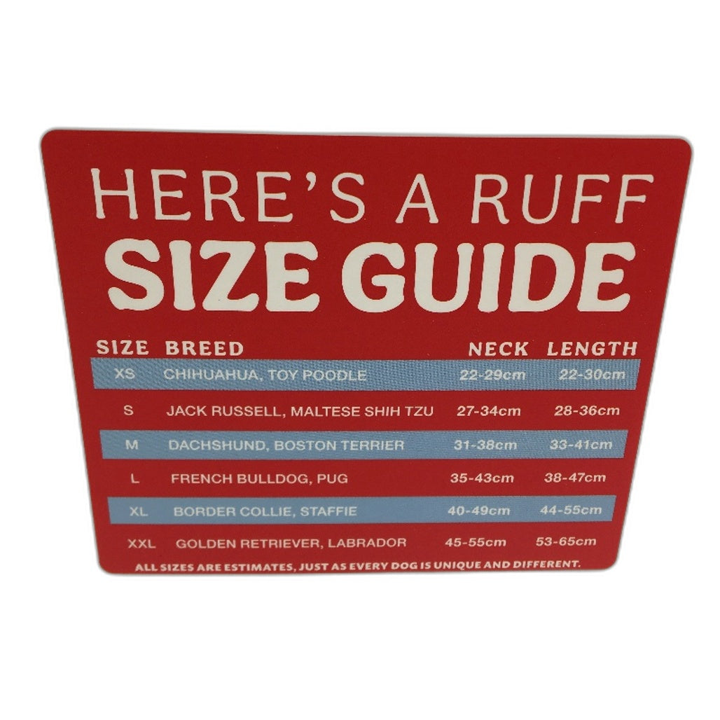 Peter Alexander Dr Seuss Thing 1 Fur Lined Hood Pet Dog Hoodie Size XL NEW