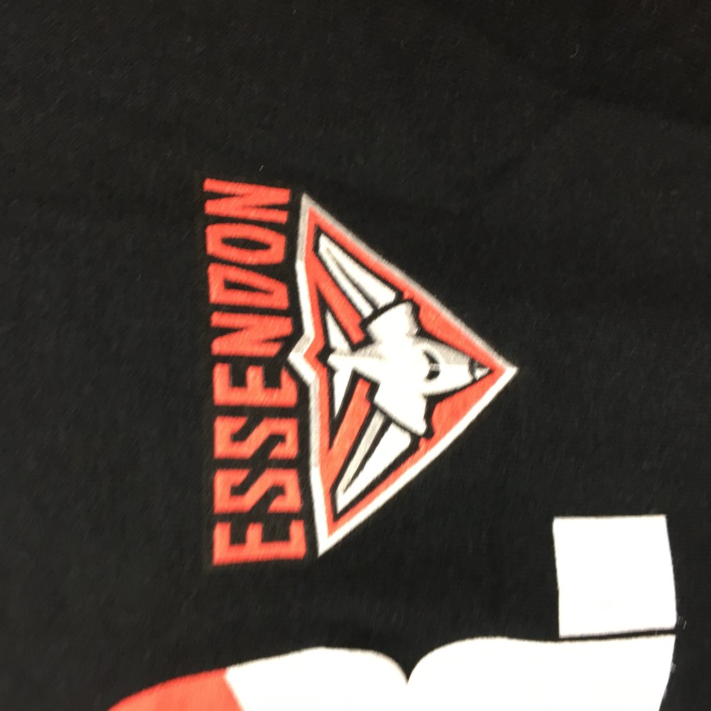 AFL Essendon Bombers Emblem 'They Don't Fear' Black Graphic Tee Mens Sz M NEW