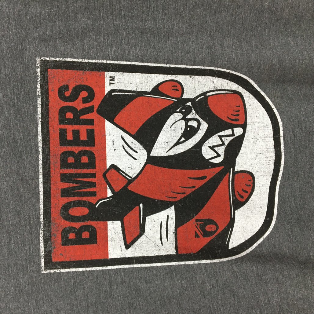 Anvil Essendon Bombers Grey Tri-Blend Retro Graphic Tee Youth Size Medium NEW