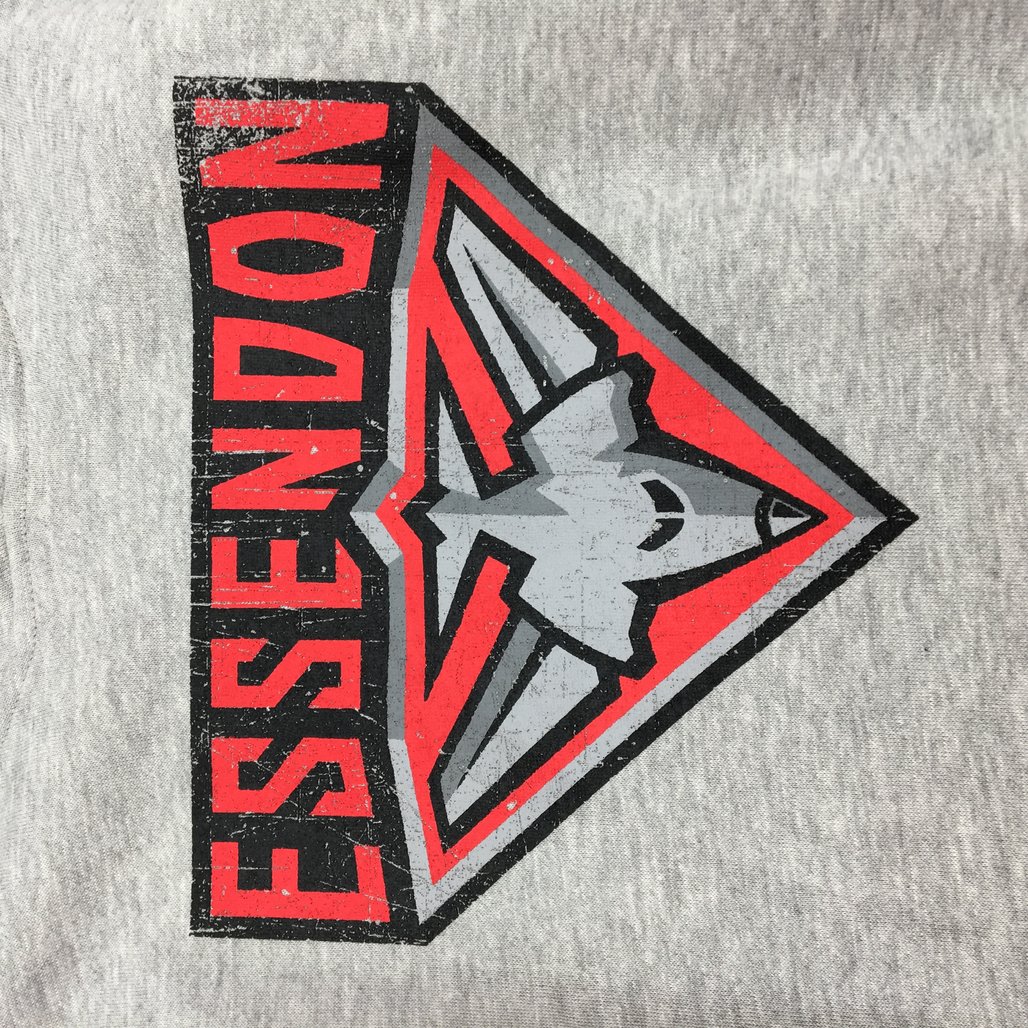 AFL Essendon Bombers Logo Basic Grey Marle Hoodie Ladies Size AU 12 NEW