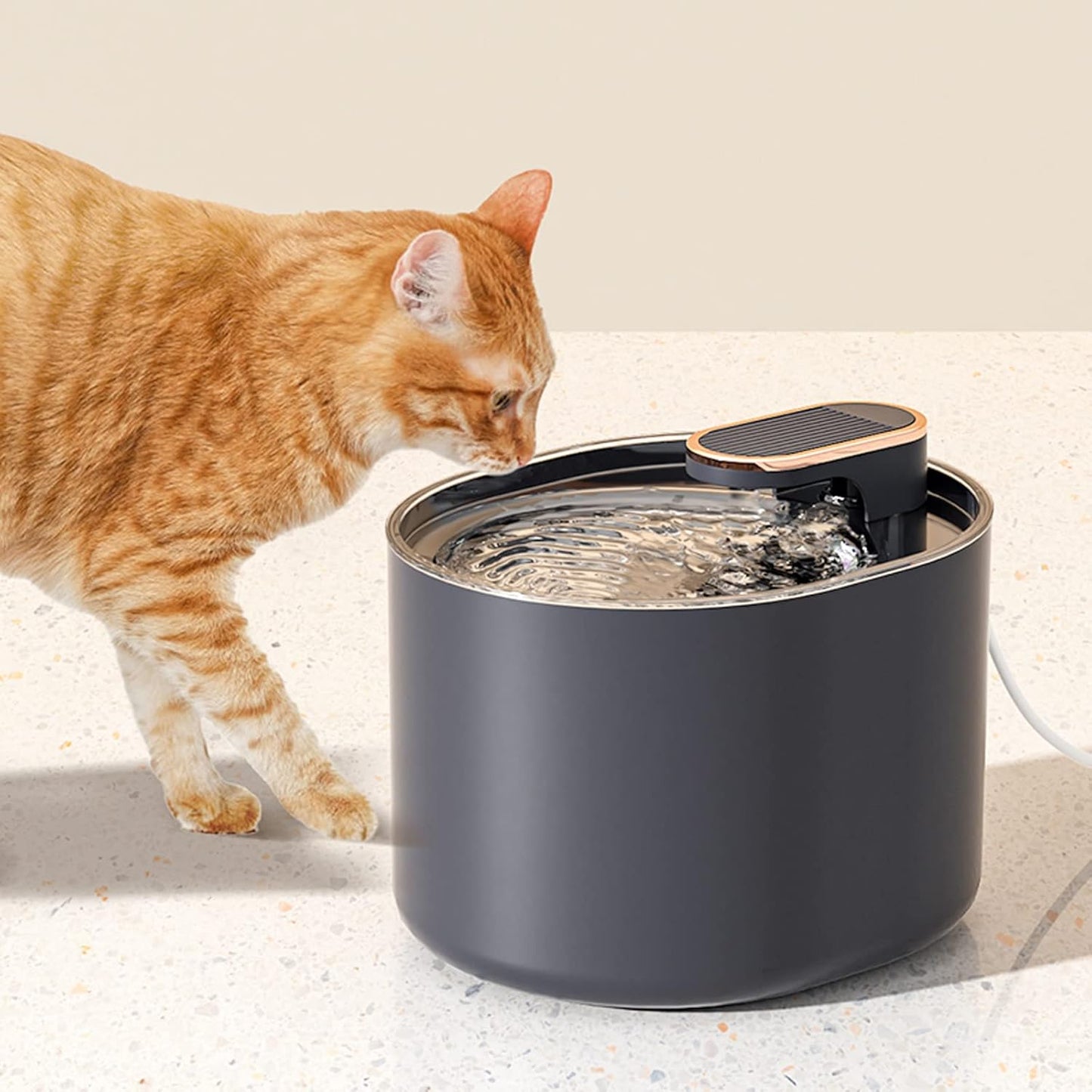 Aurie Cat Dog Navy Blue Pet Water Dispenser USB Electric Corded NEW