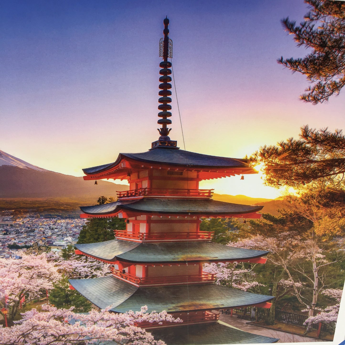 Ravensburger 1008 Piece Mount Fuji Cherry Blossom View Puzzle 70x50cm NEW