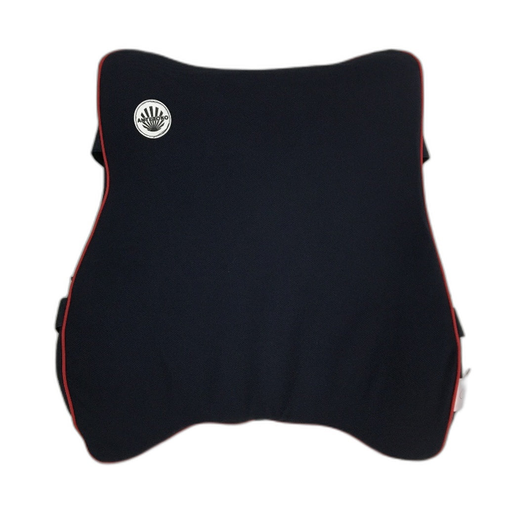ANTETOKO Lumbar Support Memory Foam Ergonomic Back Pillow in Navy DEMO