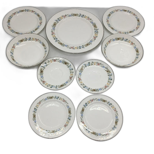 VINTAGE Royal Doulton Bone China Pastorale Floral Design 9 Pce Plate & Dish Set