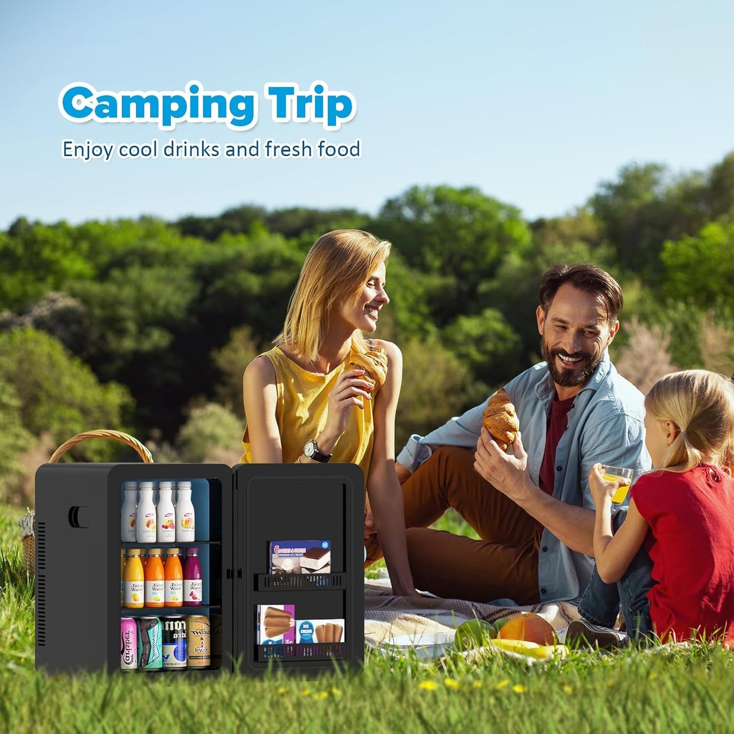 ADVWIN 22L 12V Compact Portable Mini Fridge and Car Cooler in Black NEW