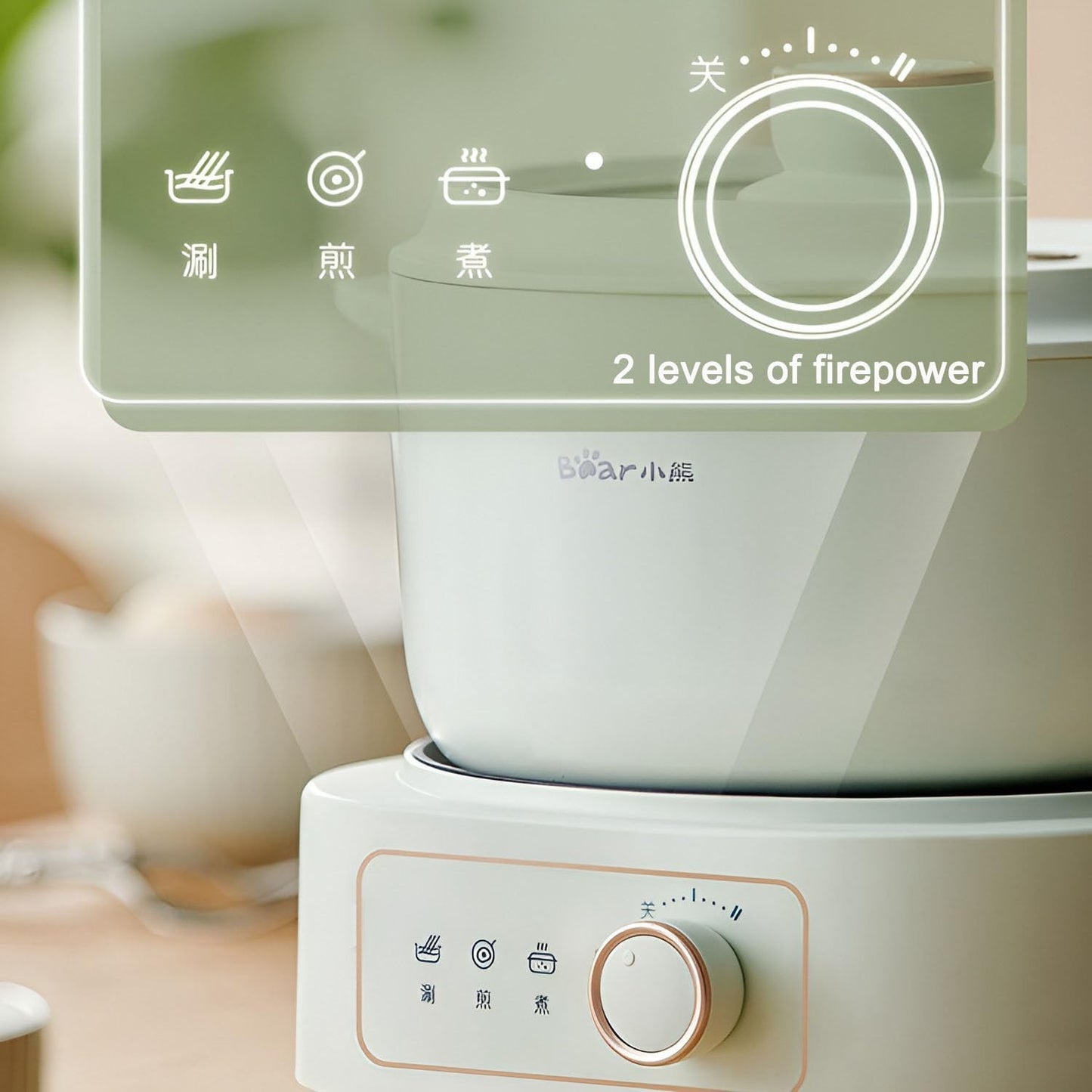 BEAR 2.5L Electric Dual Power Control Non-Stick Green Hot Pot with Steamer NEW