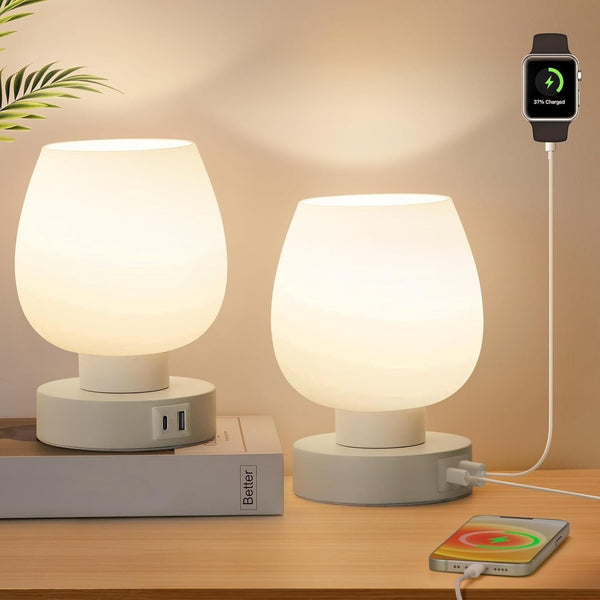 LXTANYY Modern Touch Bedside Table Lamp Set of 2 with USB-C Charging