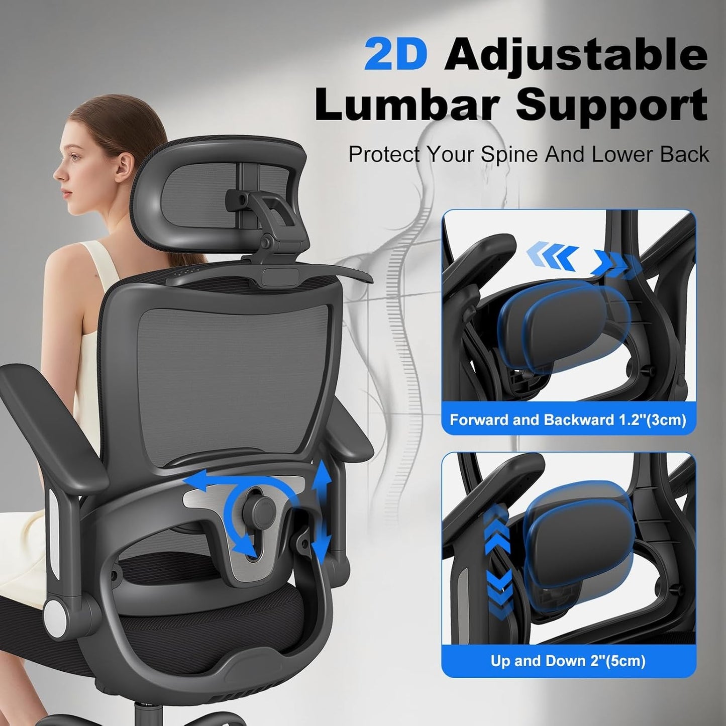 ZZH Ergonomic Office Chair with Adjustable Lumbar Support for Home DEMO