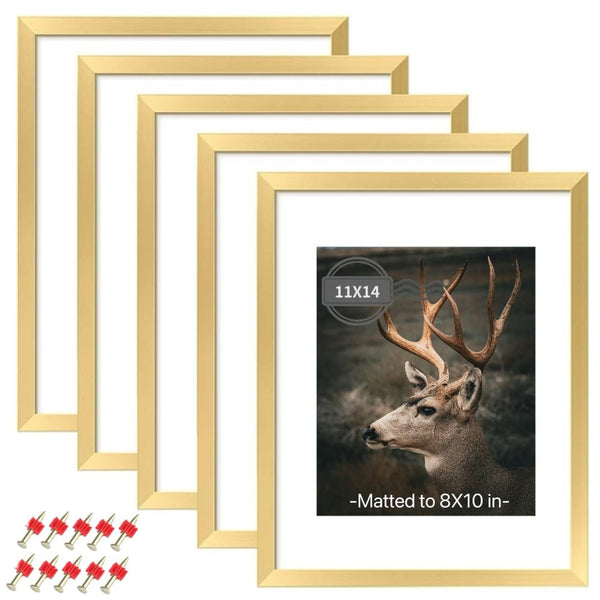 Gold 11x14 Inch Plexiglass Picture Frame Set of 5 for Wall Gallery Display NEW