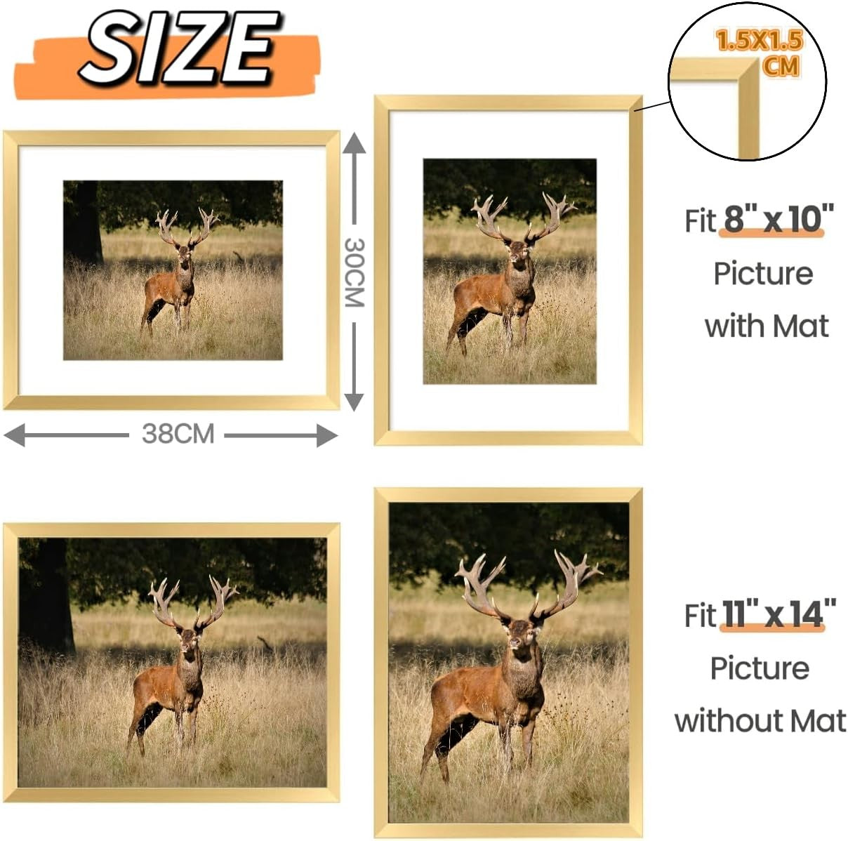 Gold 11x14 Inch Plexiglass Picture Frame Set of 5 for Wall Gallery Display NEW