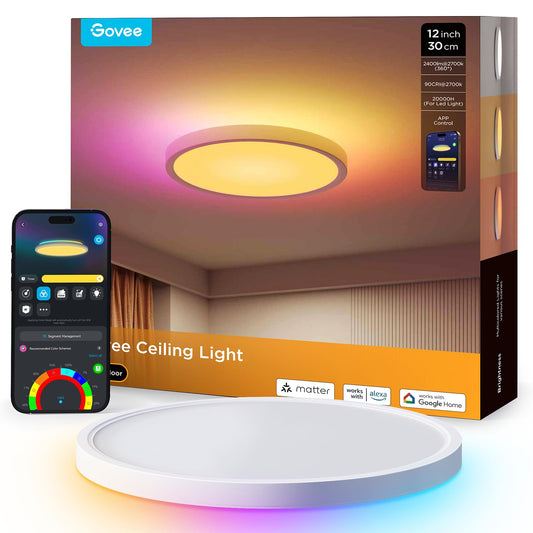 Govee Smart RGBIC Ceiling Lighting 24W 6500K Plastic White Size 12" / 30cm NEW