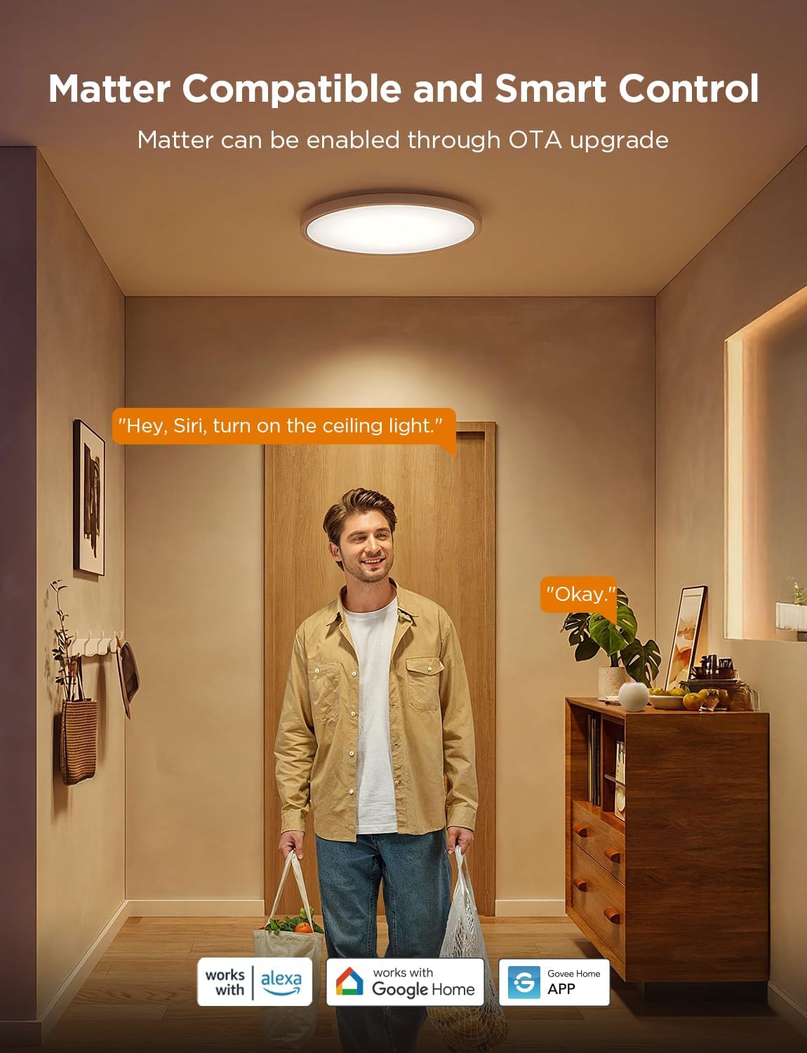 Govee Smart RGBIC Ceiling Lighting 24W 6500K Plastic White Size 12" / 30cm NEW