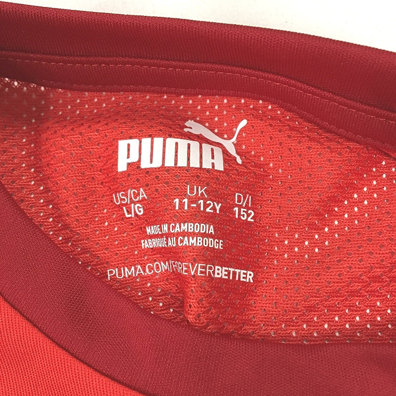 PUMA  Junior Team GOAL 23 Jersey Short Sleeve Training Top Tshirt Youth 11-12Y