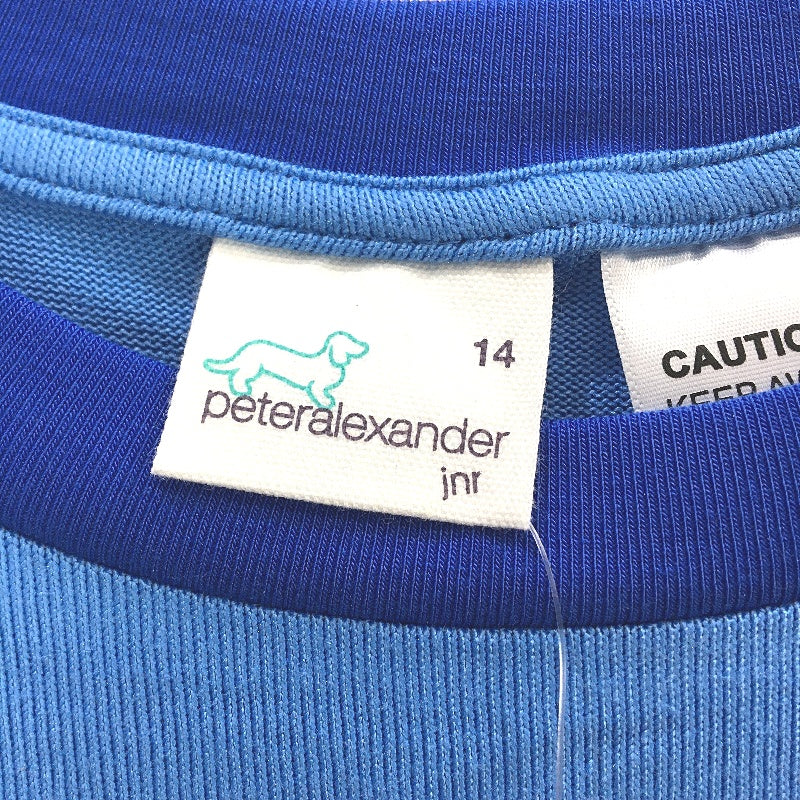 Peter Alexander Mr Lazy Soft Blue Shortsleeve Pyjama Set Boys Size AU 14 NEW