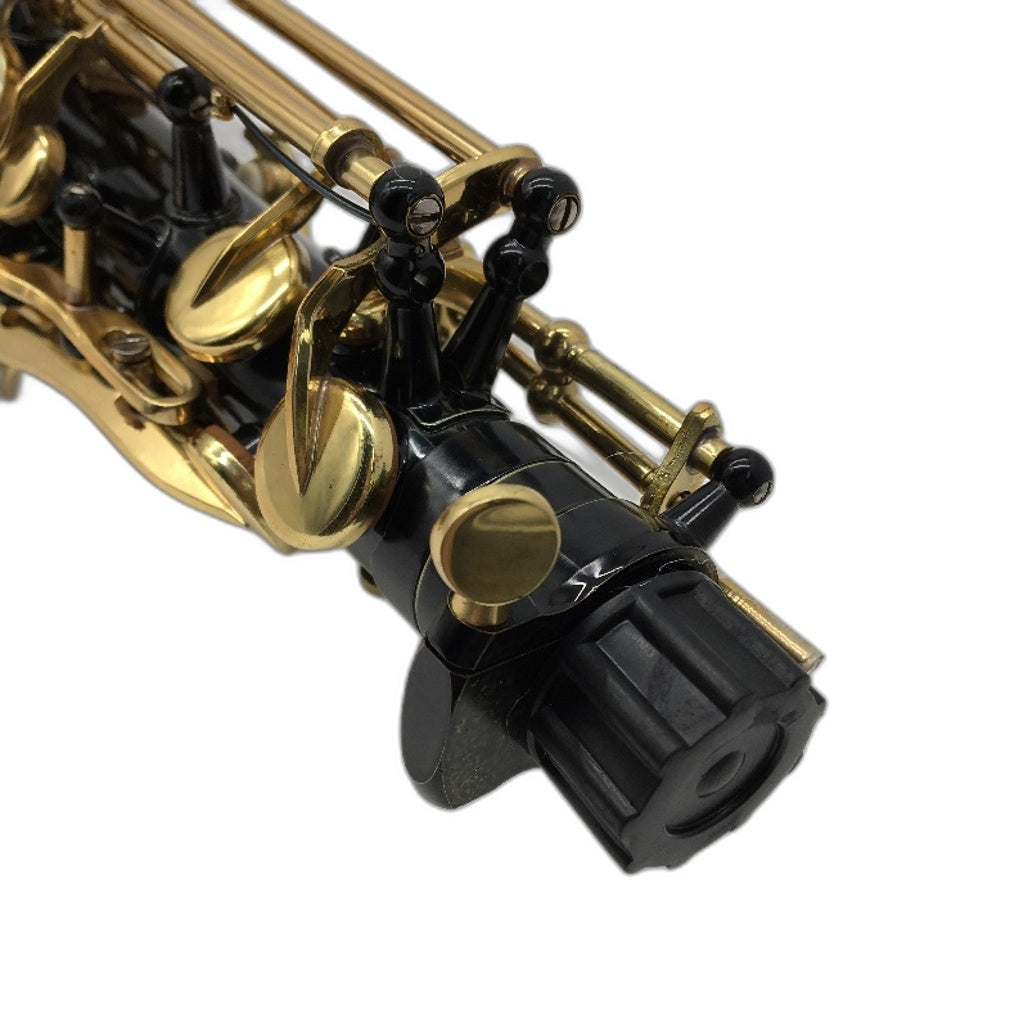 Eb Alto Saxaphone Black & Gold Floral Design With Accessories & Carry Case