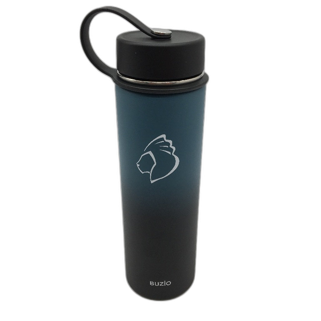 BUZIO 22Oz Insulated Vacuum Stainless Steel Water Bottle With Straw Lid Flex Cap