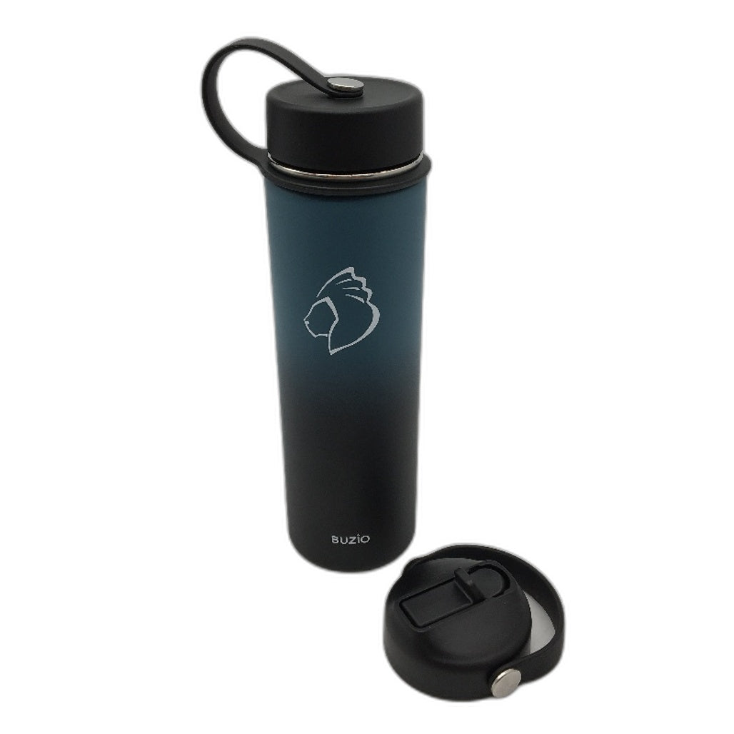 BUZIO 22Oz Insulated Vacuum Stainless Steel Water Bottle With Straw Lid Flex Cap