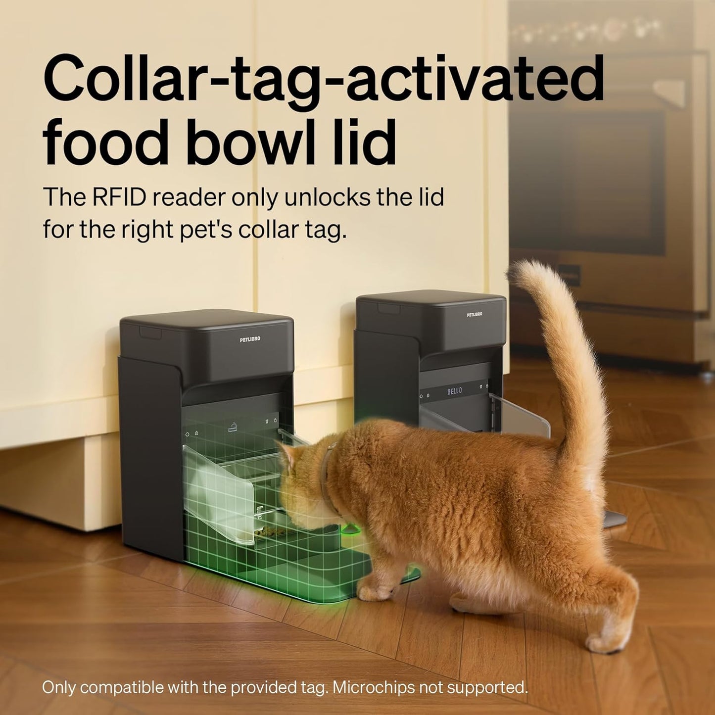 PETLIBRO Automatic Cat Feeder with Collar-Activated Selective Feeding, DEMO