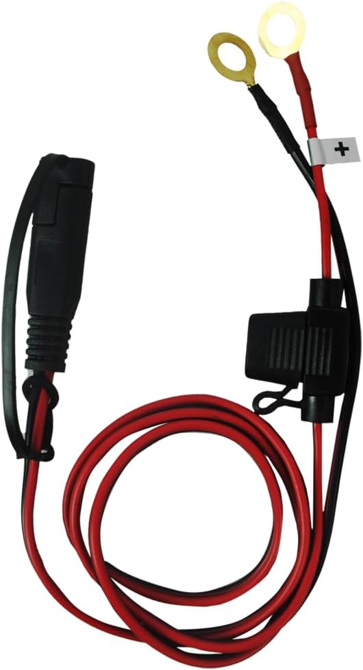 Smartech 6V/12V 1A Automatic Lead-Acid Lithium Battery Charger for Cars, DEMO