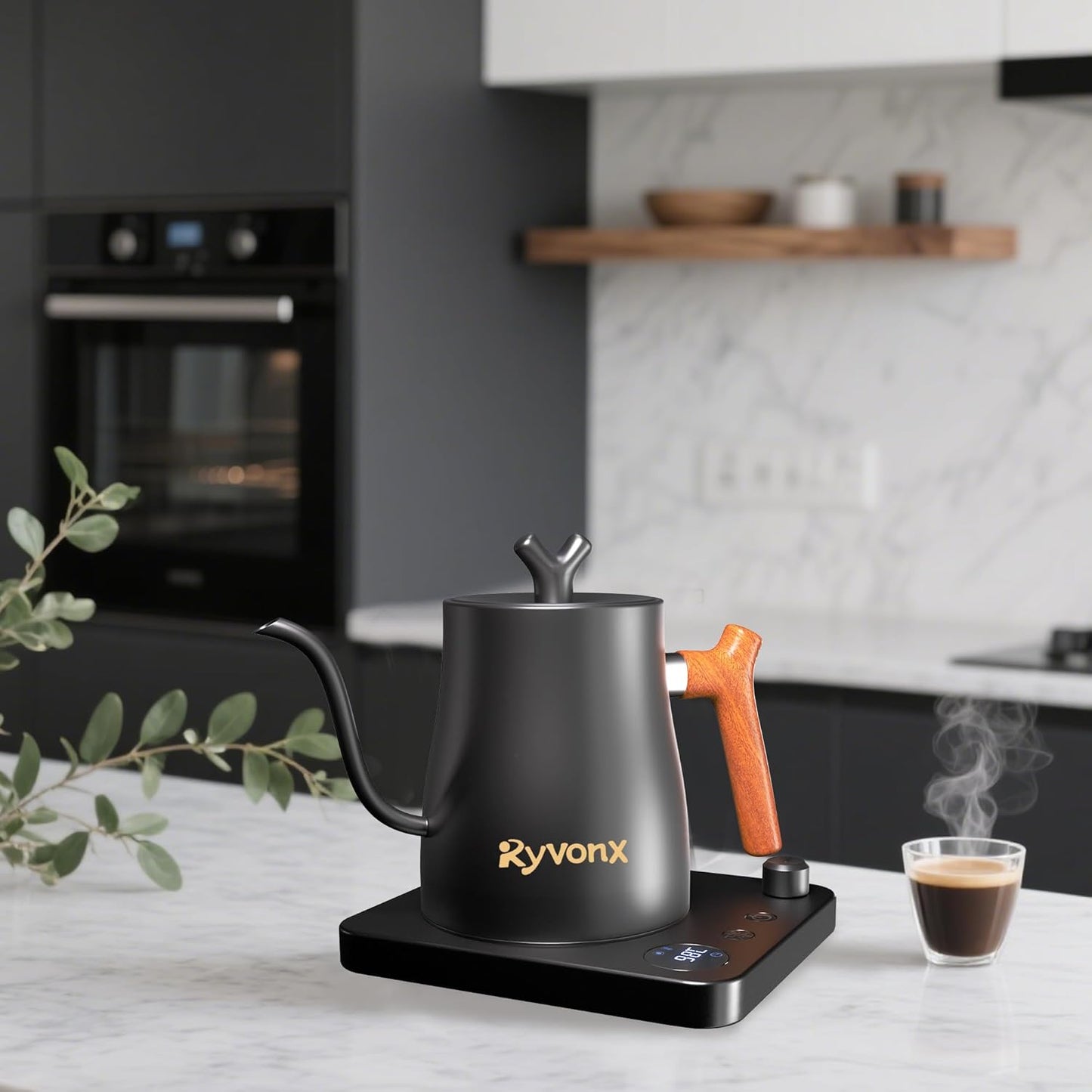 Ryvonx Electric Kettle with Temperature Control LCD Display 1L Stainless DEMO