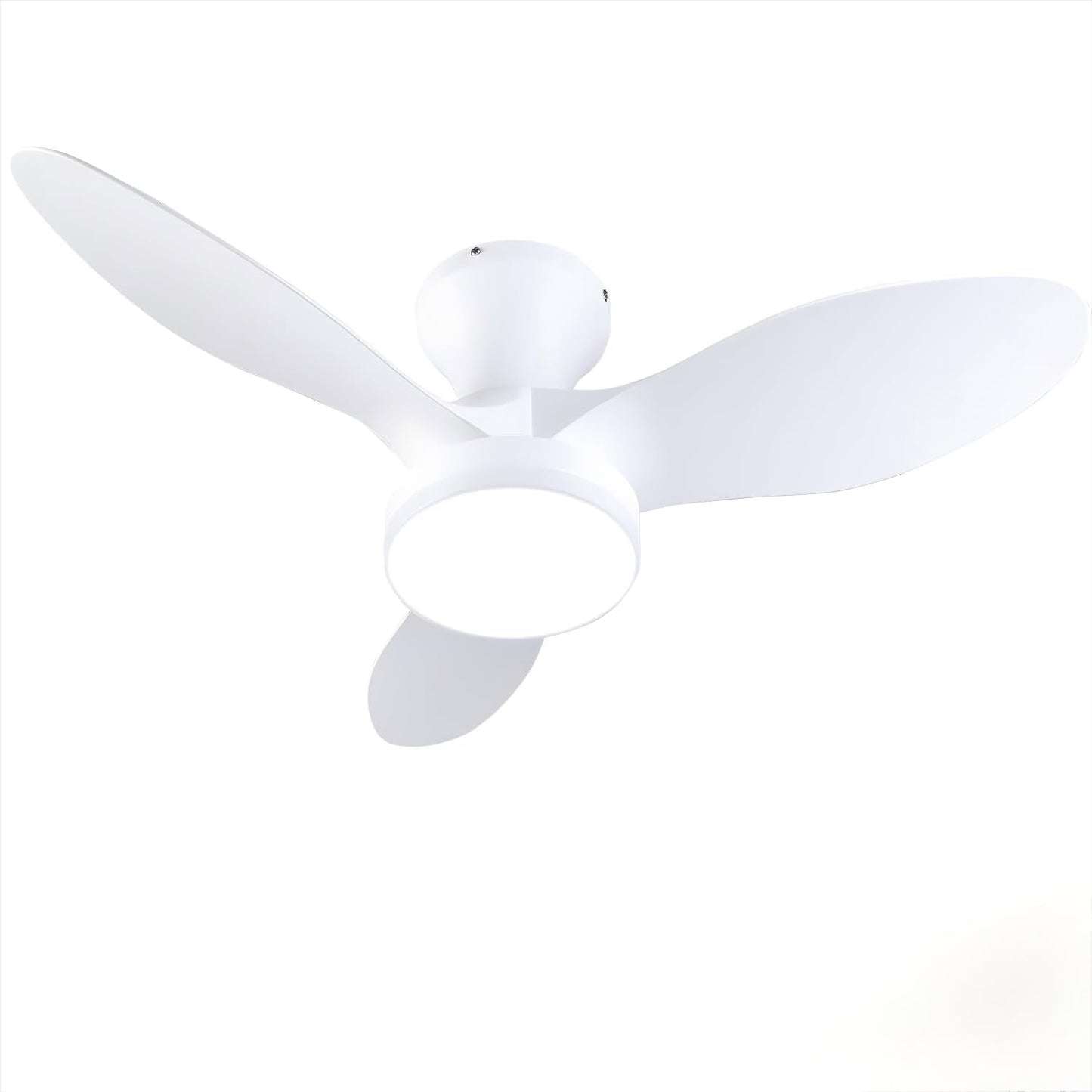 Ruhaieba 32-Inch Low Profile Ceiling Fan with Light and Remote Control DEMO