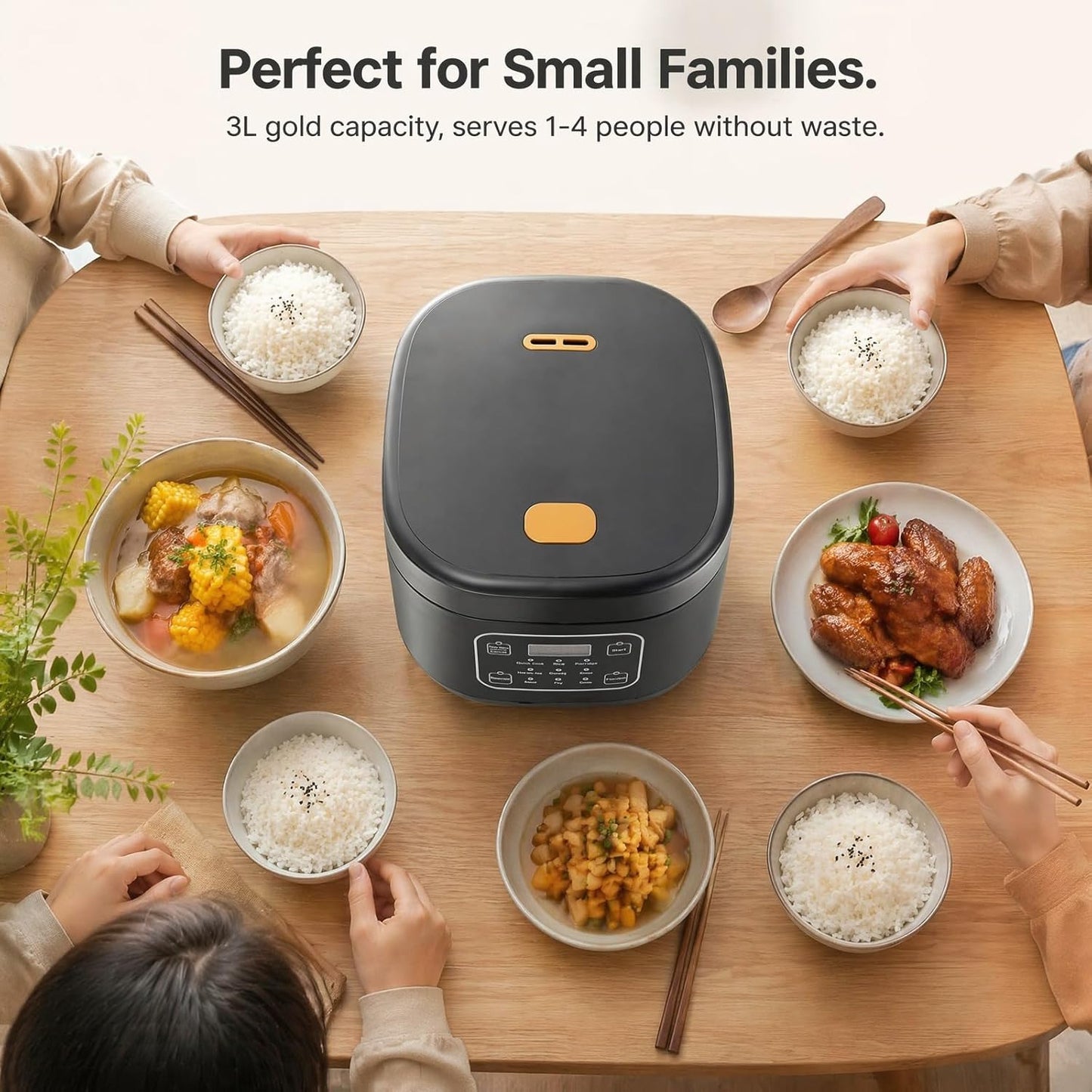 Husnmop 3L Pressure Rice Cooker, 9-in-1 Multi-Cooker, Non-Stick, Black DEMO