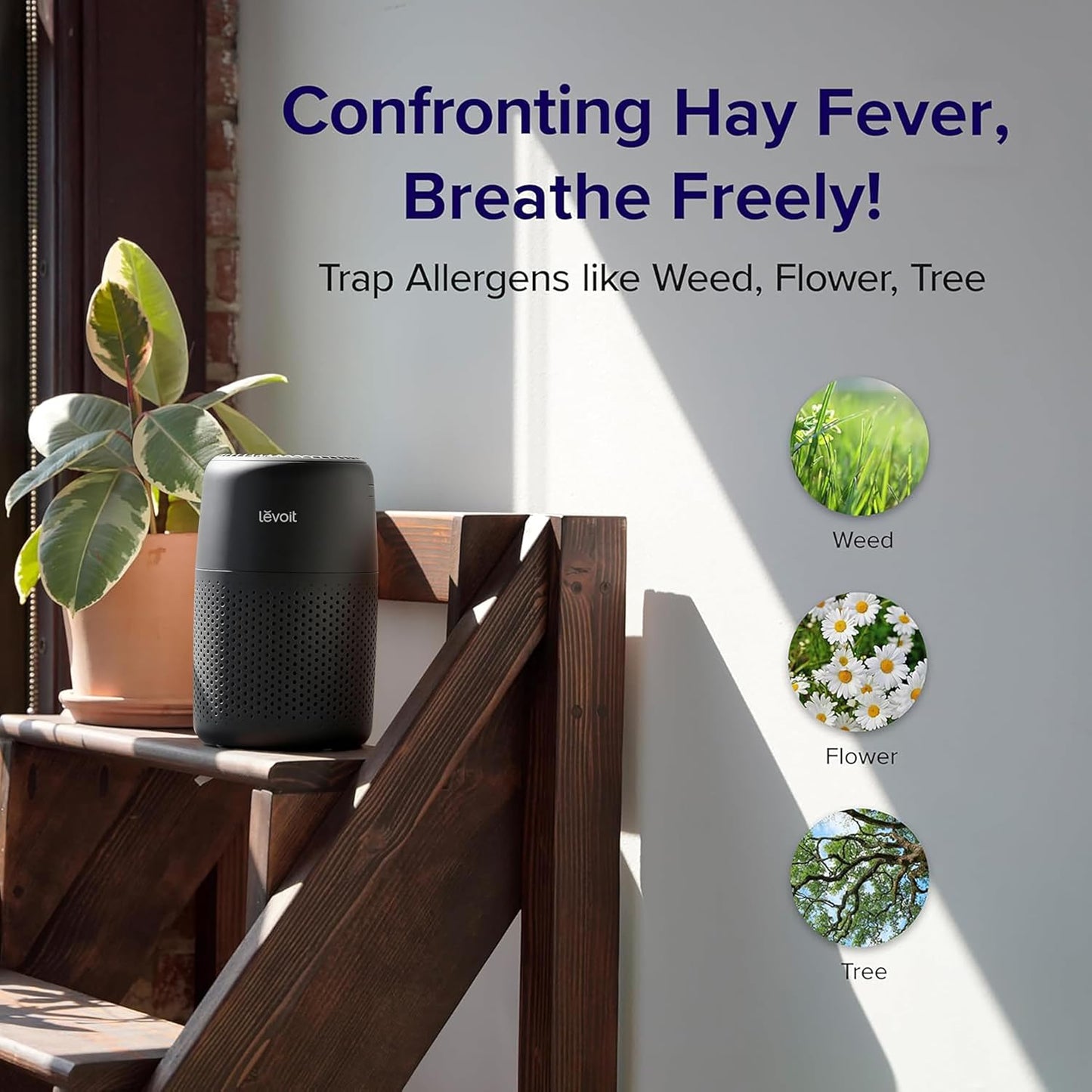 Levoit Core Air Purifiers Mini Air Purifier with Night Light, Quiet Mode, NEW
