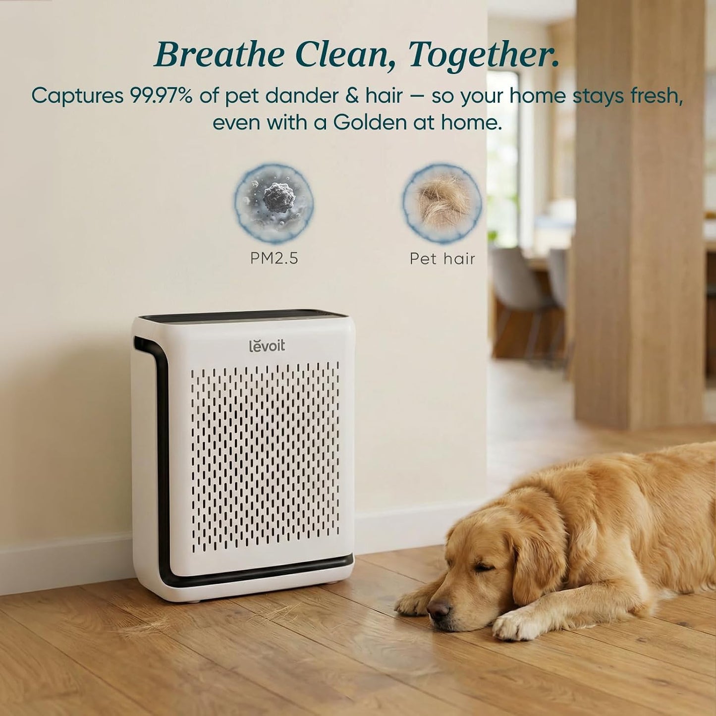 Levoit Smart Air Purifiers HEPA Air Purifier for Home, Bedroom, Washable DEMO