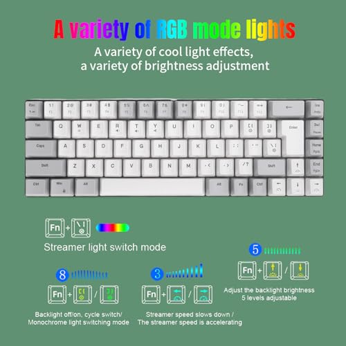 Jectse 60% Mechanical Gaming Keyboard RGB Backlit Ergonomic Gray White NEW