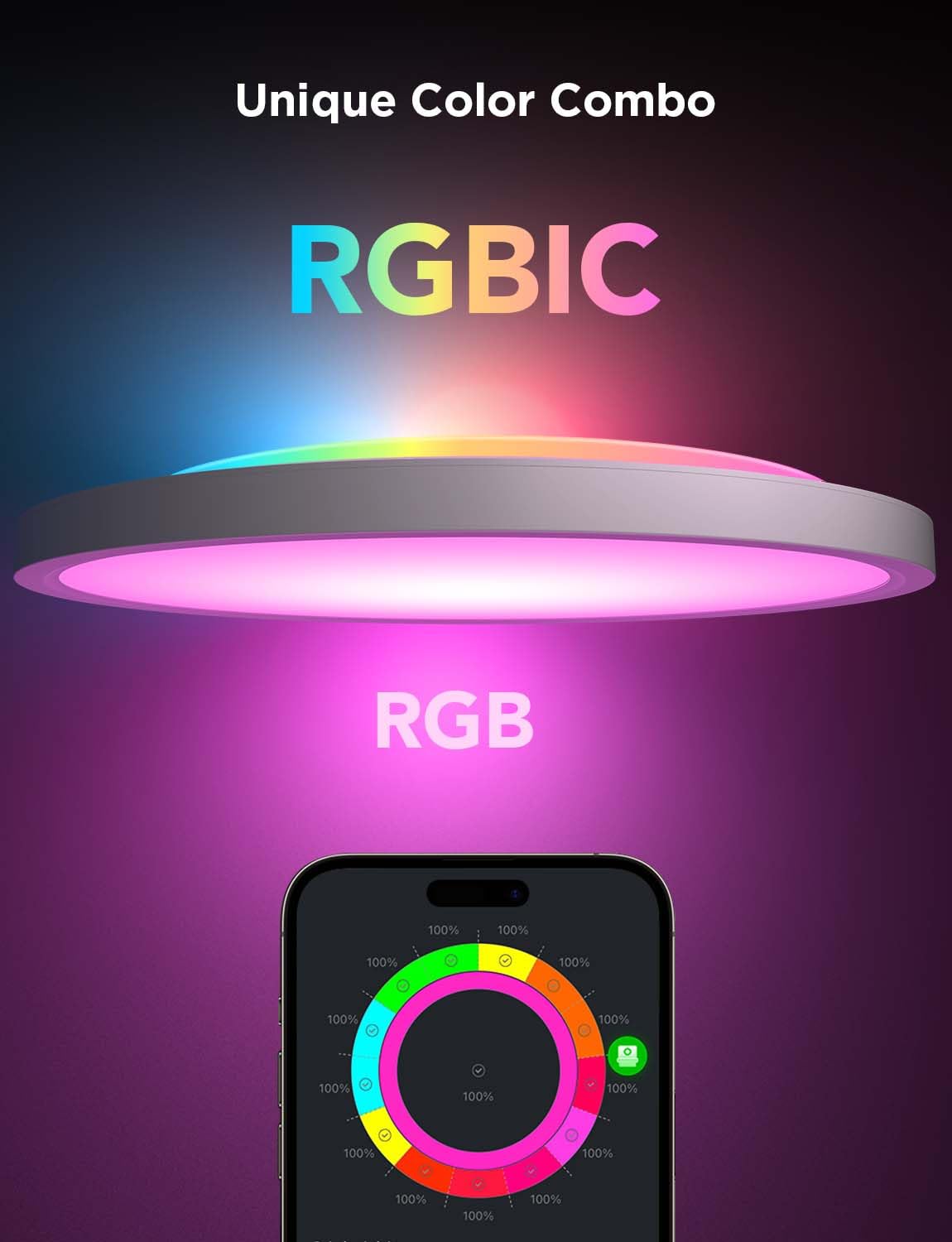 Govee RGBIC Smart LED Ceiling Light 2400LM 24W Ø30cm Dimmable Lighting DEMO