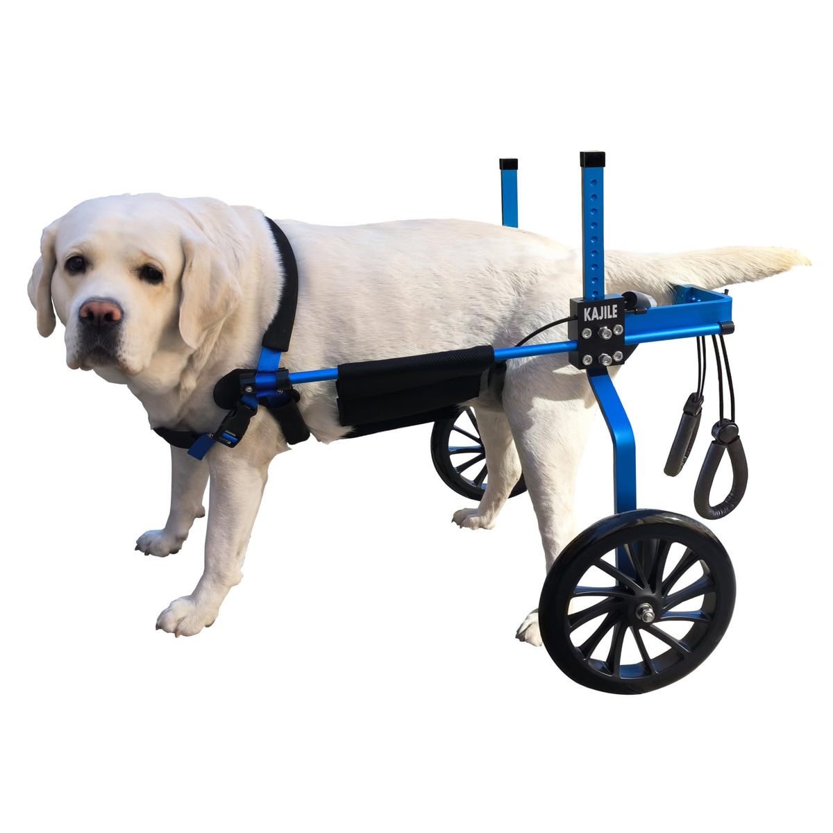KAJILE Adjustable Strollers Dog Wheelchair Pet Cart Rehabilitation Blue NEW