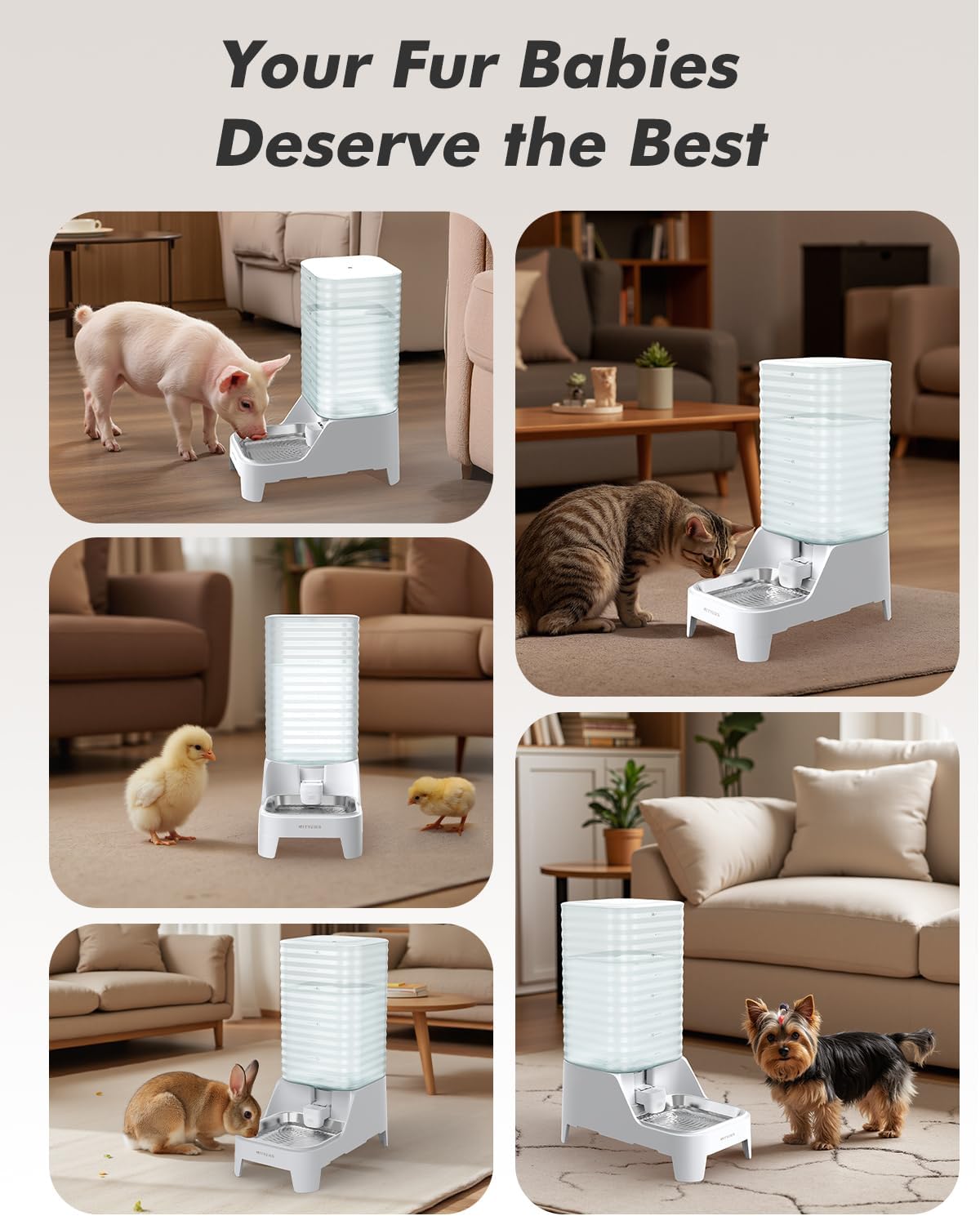 Nityers 8L Gravity Pet Waterer Automatic Feeder Elevated Stainless Steel DEMO