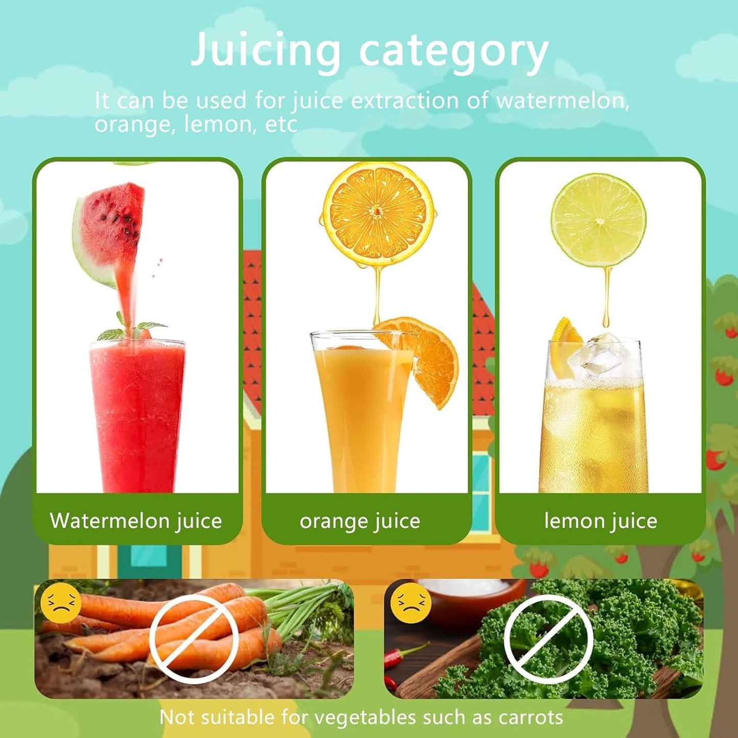 Stainless Steel Manual Citrus Juicer Fruit Juice Squeezer for Home Kitchen DEMO