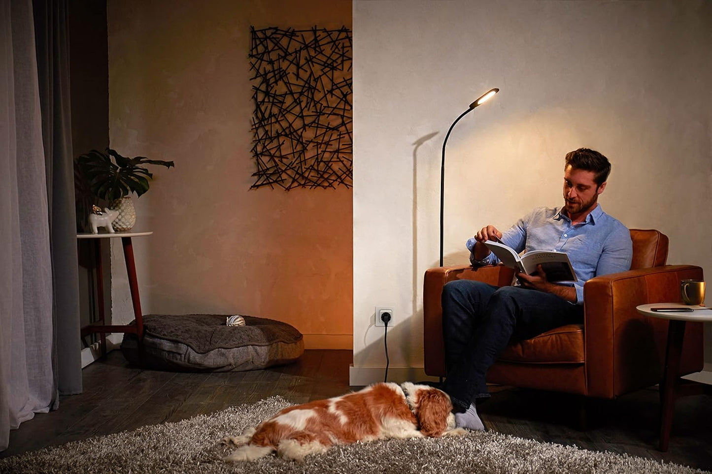 Philips Hue Smart Plug Bluetooth Bridge Compatible Electrical Accessory DEMO