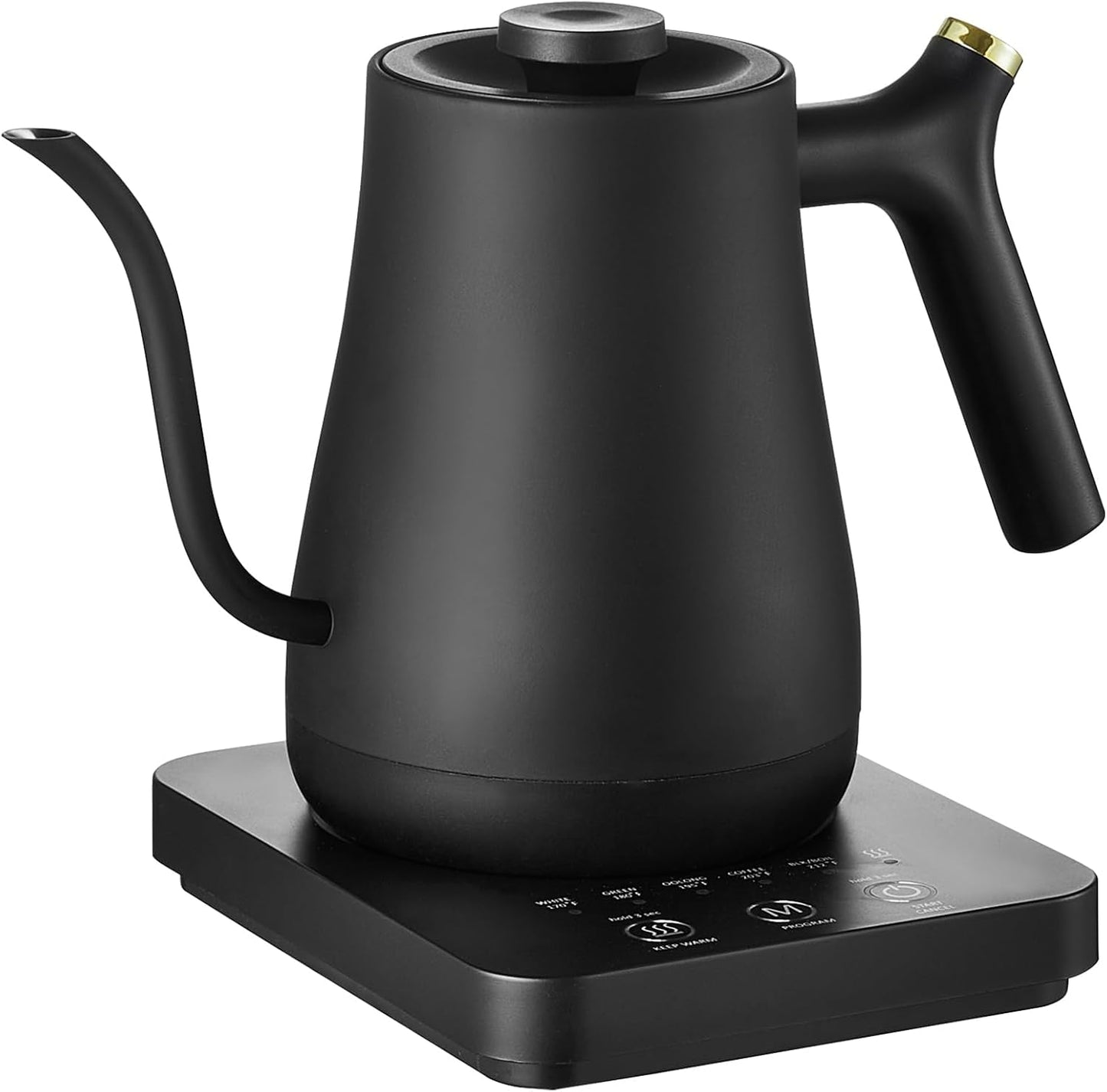 Black Electric Gooseneck Kettle with 5 Precise Temperature Control DEMO