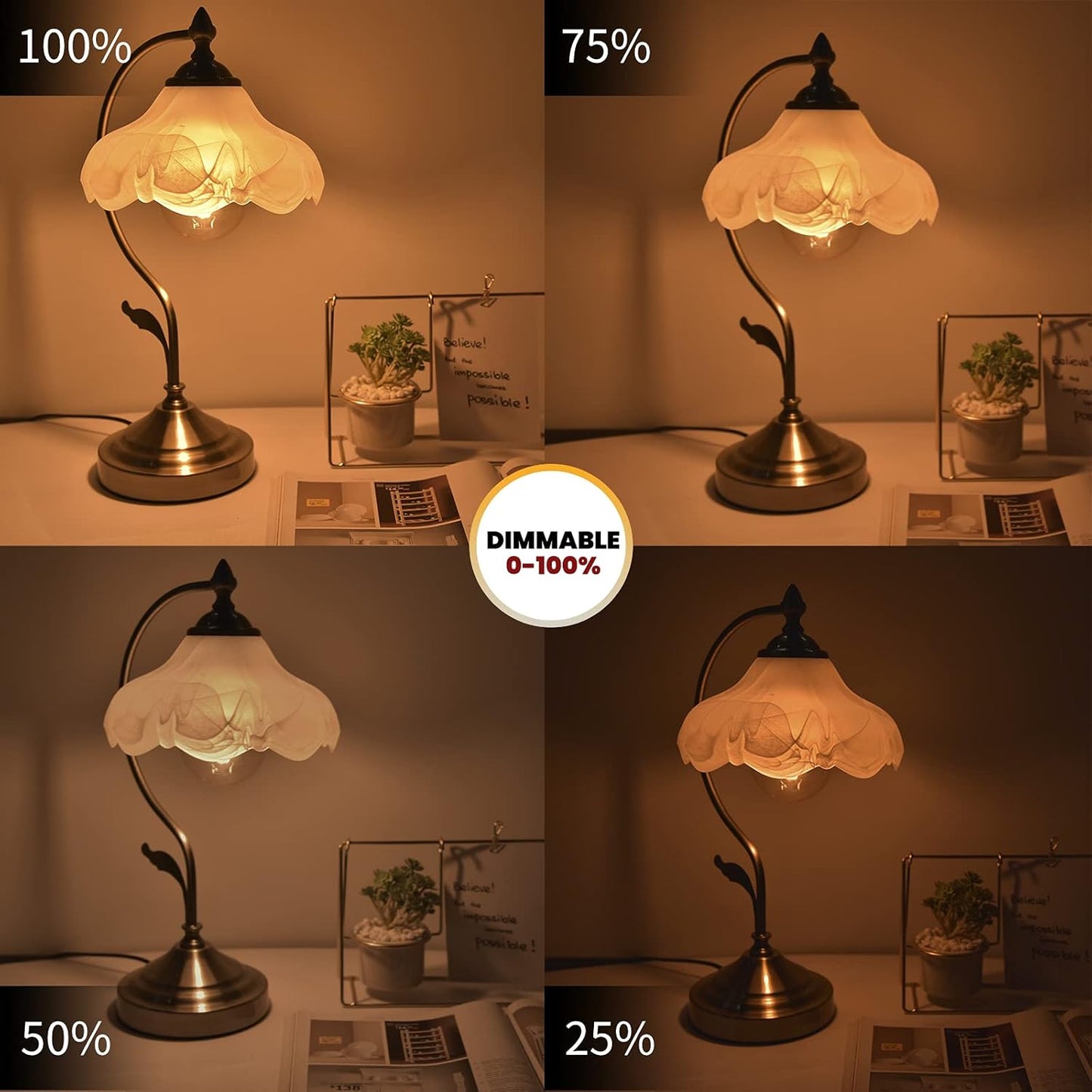 Vintage Glass LED Bulbs LED Bulb, Warm White 2700K Amber Lighting, DEMO